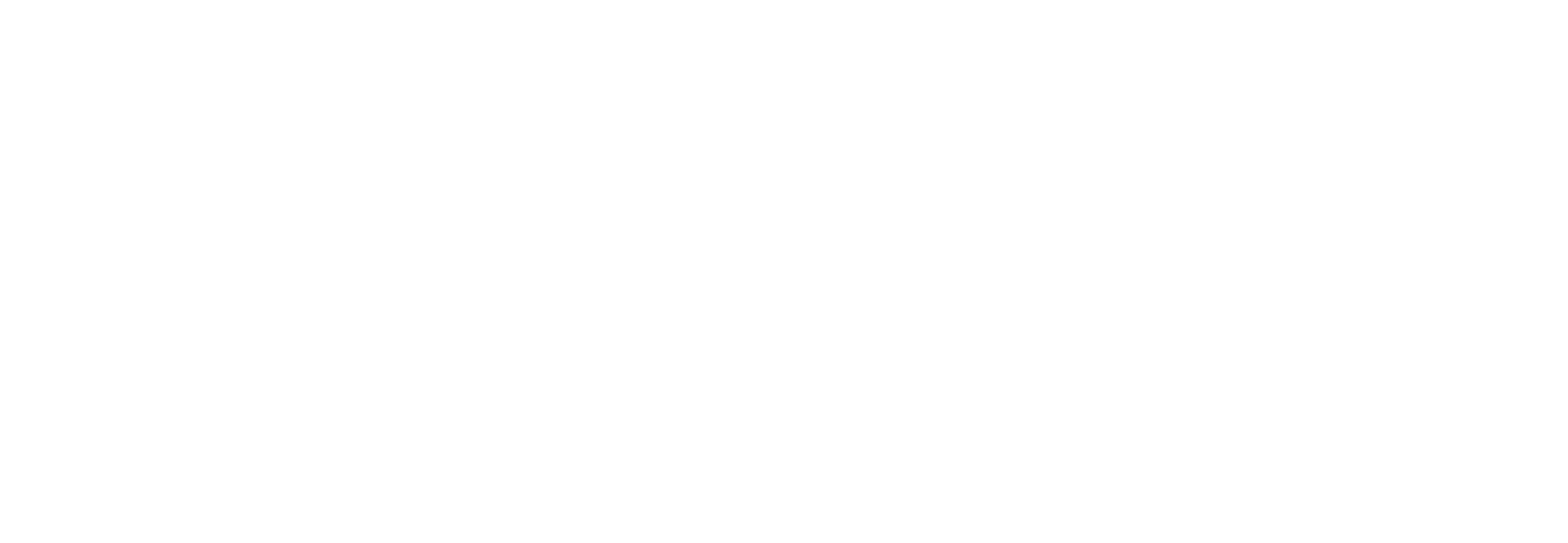 Statewide Home Health Care  logo