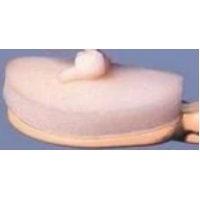  Replaceable Sponge for Lotion Applicator  (2 