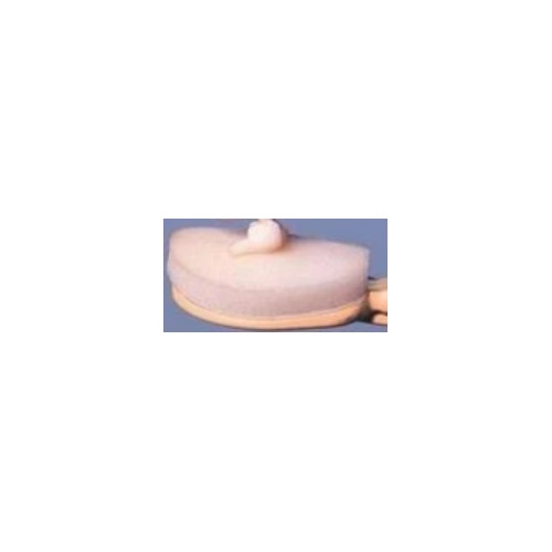  Replaceable Sponge for Lotion Applicator  (2 